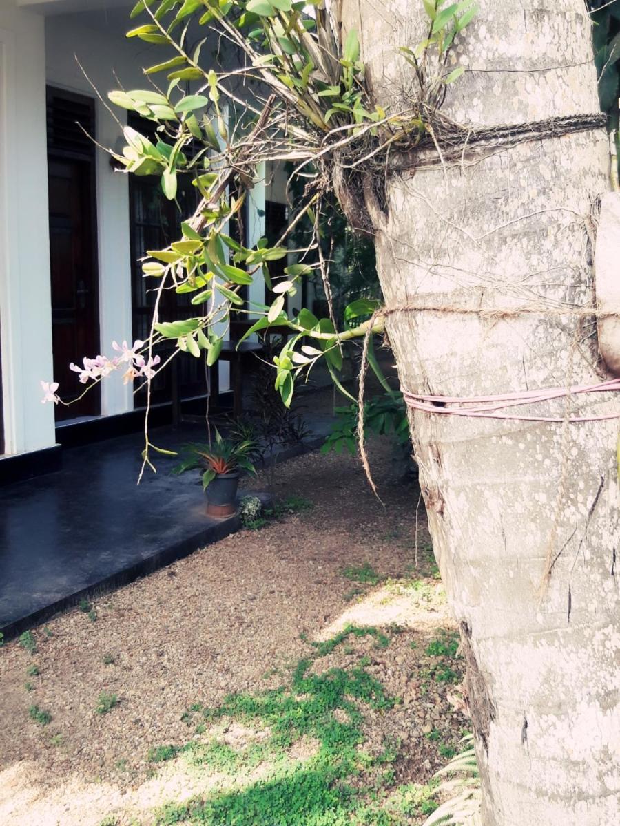 Serene Niche Mirissa Exterior foto
